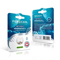 CBD Samen FENOMOON von Fenocan 