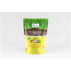Myradix Mykorrhiza-Pilze 1 kg