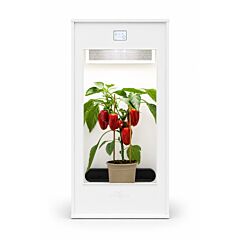 Minigrow One Growbox
