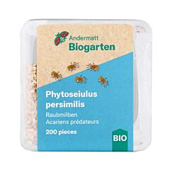Phytoseiulus-Raubmilben, 200 Stück