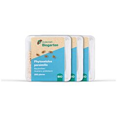Phytoseiulus-Raubmilben Programm 3 x 200 Stk.