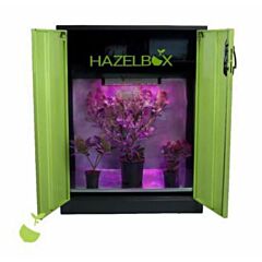 Hazelbox Compact (grün oder anthrazit)