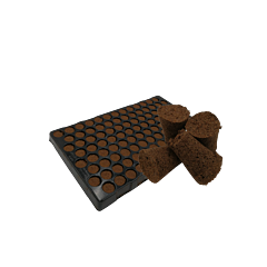 Lime Plug conical feucht - Tray mit 104 Stk.