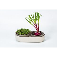 Keimsprosskit Microgreens & Hdyrokultur Schale Urbalive