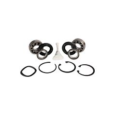 Bearing Overhaul Kit T4