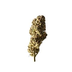 Herba SELECT Strawberry Cheese Cake - Greenhouse 7g