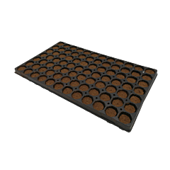 Planta Plug, Tray mit 104 Stk.