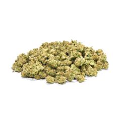 Amnesia Lemon Haze - Mini Buds 15g
