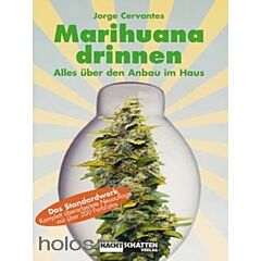 Anbau Drinnen - J. Cervantes
