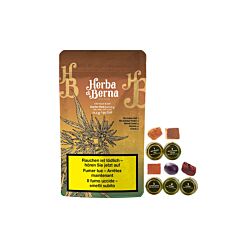 CBD Hasch Starter Pack 12.5g