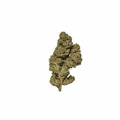 Herba SELECT Candy Kush - Outdoor