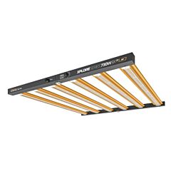 Dimlux Xplore Series LED 730W 9x — 3.0