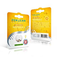 CBD Samen FENOCHEESE von Fenocan
