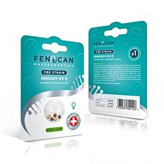 CBD Samen FENOJOY von Fenocan 