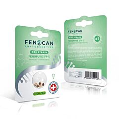 CBD Samen FENOPURE CBG von Fenocan 