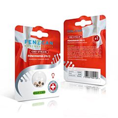 CBD Samen FENOSWISS von Fenocan 