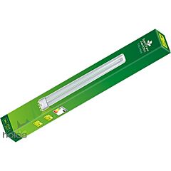 Leuchtmittel T-Neon 36 Watt 6500 Kelvin