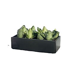 Pflanzenbeet Mini Garland 0.5 x 1 m