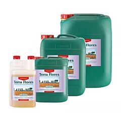 Canna Terra Flores