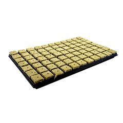 Steinwolle  Stecklings-Tray, 4 x 4 cm, 77 Stw.-Blöcke
